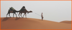 3 day desert tour from Fes to Marrakech,3 day private Fes desert 4x4 trip to Marrakech